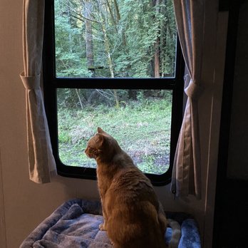 Reeds Trailer Sales - Loving the natural light, numerous windows with endless views... - RV Dealers Near Me - Petaluma, California