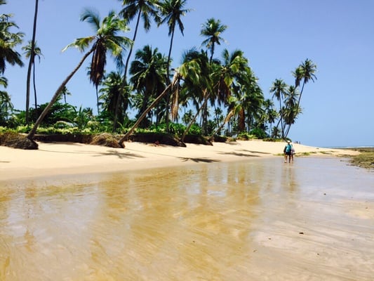 Praia do Forte by null