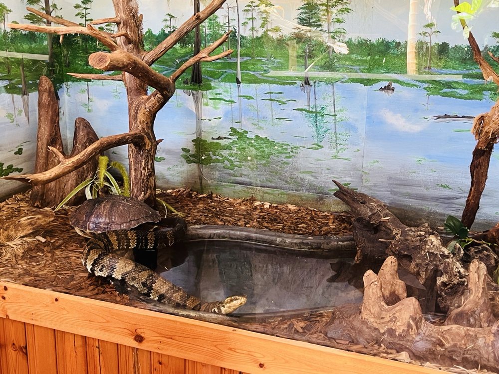 Edisto Island Serpentarium Logo