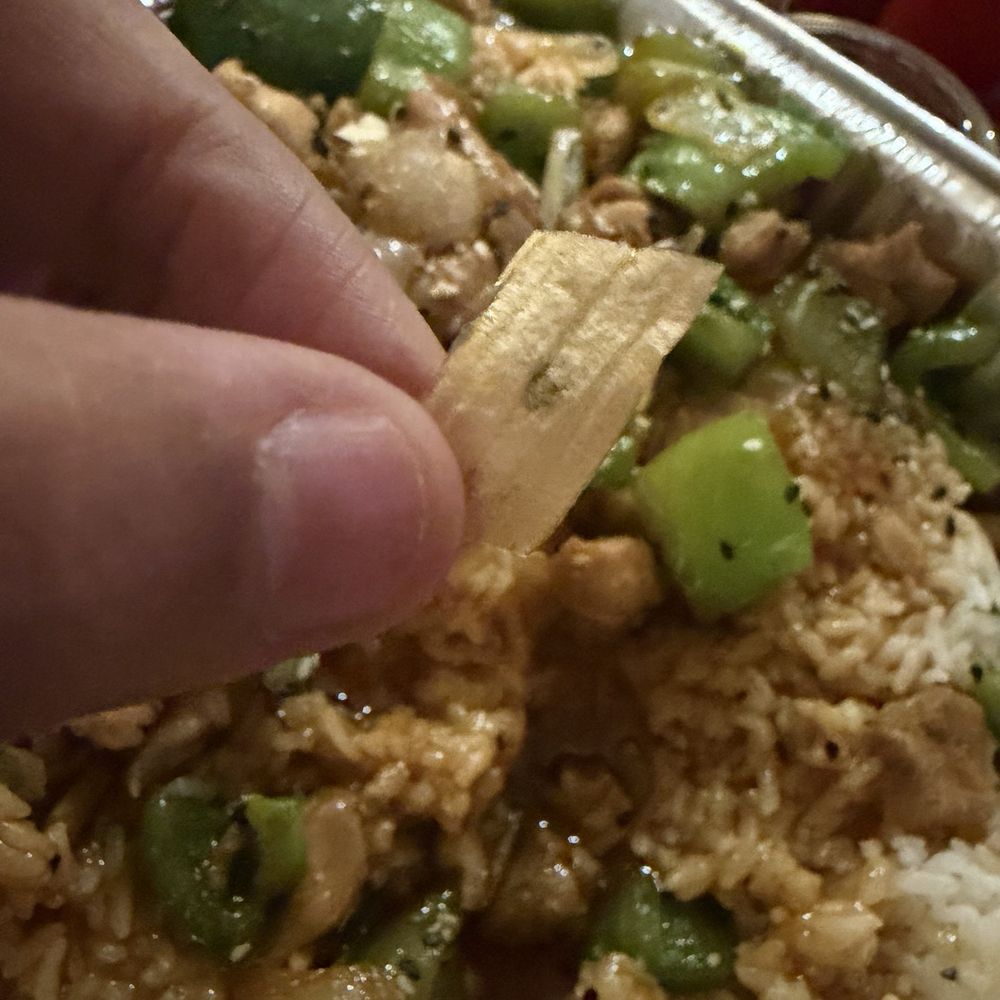 Sagavi Sushi - Onion peel as part of the teriyaki tray! - Sushi Bars Near Me - Calexico, California