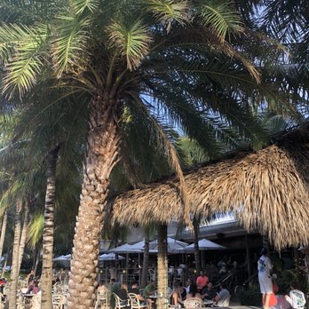U-Tiki Beach - Beautiful scenery - Seafood Near Me - Jupiter, Florida