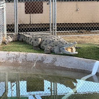 Phoenix Herpetological Society - Community Service/Non-Profit Near Me