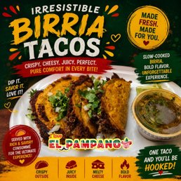Birria Tacos Birria Tacos
