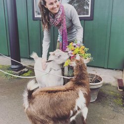Shrink Ray Farms - Om-Nom and Nibbles surprised me with goat gram flowers on my birthday! So cute!