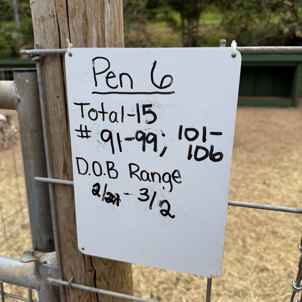 Surfing Goat Dairy - April 2025 - Cheese Shops Near Me - Kula, Hawaii Surfing Goat Dairy - April 2025 - Cheese Shops Near Me - Kula, Hawaii