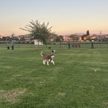 Orange Dog Park - Dog Parks Near Me - Orange, California
