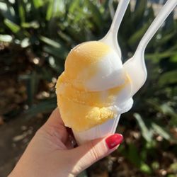 Mangione’s Italian Ice - Lemon mango combo is 10000%
