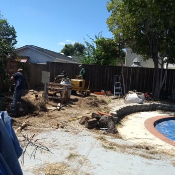 Lorenzo's Tree Service - Stump grinding - Tree Services Near Me Lorenzo's Tree Service - Stump grinding - Tree Services Near Me