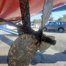 Holiday Harbor Marina