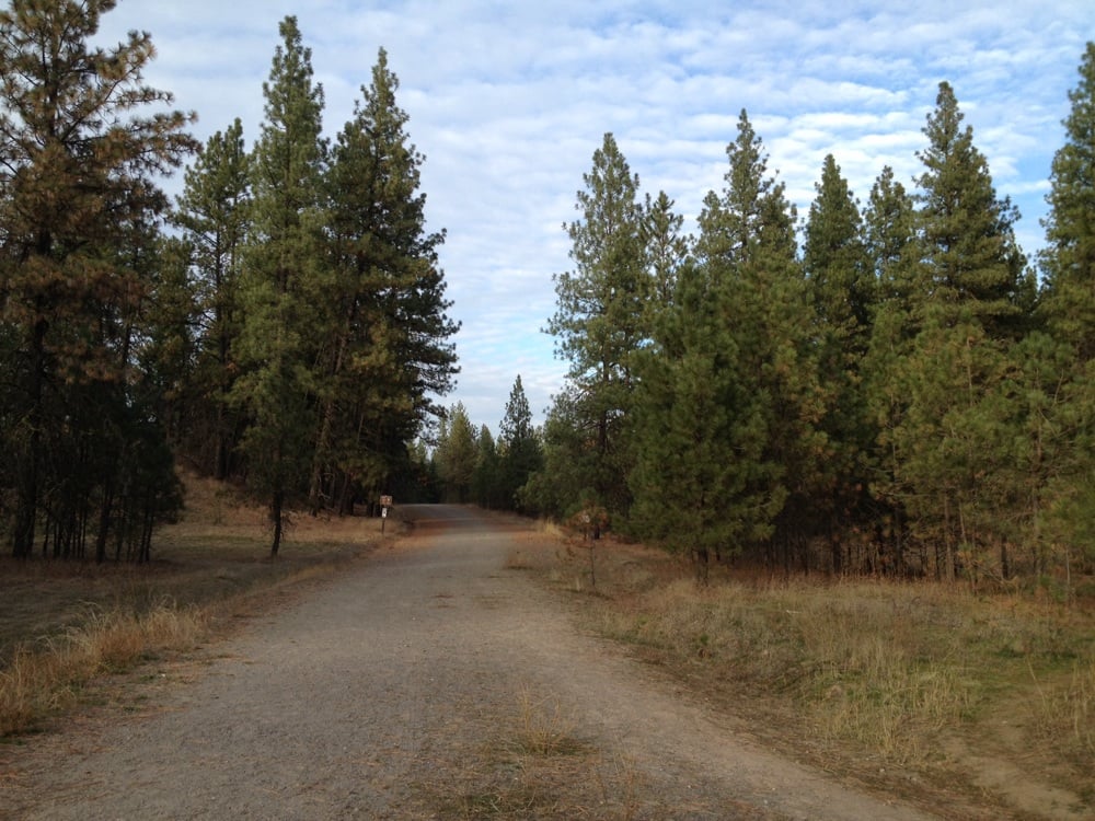 Deep Creek - equestrian in Nine Mile Falls, WA