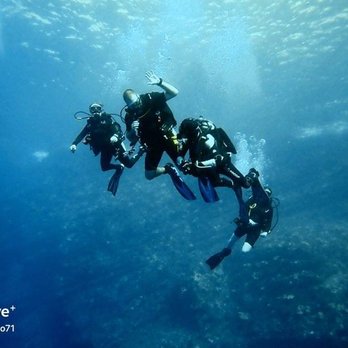 Pro Diver Maui - Our group on back wall Molokini - Scuba Diving Near Me - Kihei, Hawaii Pro Diver Maui - Our group on back wall Molokini - Scuba Diving Near Me - Kihei, Hawaii