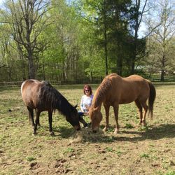 Equine Epiphany - Being in the present moment.