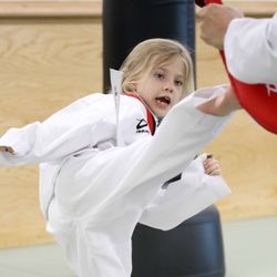 Dragon Kim's Taekwondo