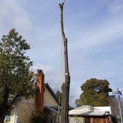 Jeff's Tree Service