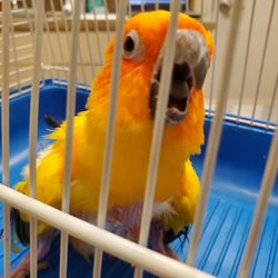 Briarcrest Veterinary Clinic - My monster