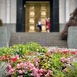 Washington D.C. Temple & Visitors' Center - More flowers