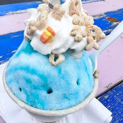 Sno Trips