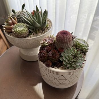 Pigment - Thank you Sarah for your help with the front bowl today and the one behind yesterday!! The one behind was purchased at this Pigment store!! - Home Decor Near Me - San Diego, California Pigment - Thank you Sarah for your help with the front bowl today and the one behind yesterday!! The one behind was purchased at this Pigment store!! - Home Decor Near Me - San Diego, California