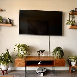 Home goods - All the plants are real, missing a few but on a budget made a plain TV wall into a minimalist art with only 4 float shelves.