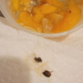 Carolina Kitchen - Found in my cobbler.  What is this???  Part of it feels like a rock. - Soul Food Near Me - Brandywine, Maryland