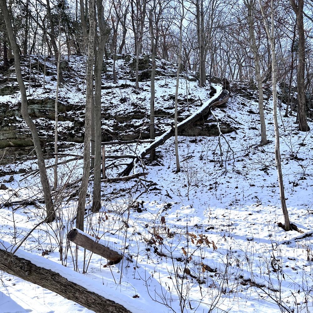 Starved Rock State Park - Parks Near Me - Utica, Illinois