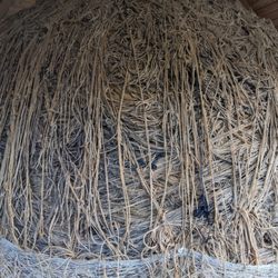 World's Largest Ball of Twine - World's Largest Ball of Twine, Darwin