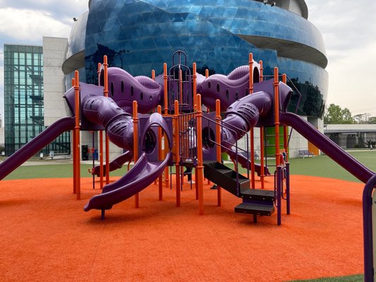 Museum of Science & Industry by null