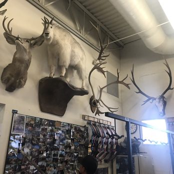 Archery Shoppe - My cheerleaders - Archery Near Me - Albuquerque, New Mexico