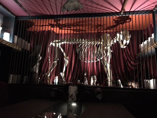 The Viktor Wynd Museum of Curiosities, Fine Art & UnNatural History by null