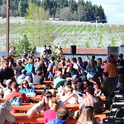 Hood River Hard-Pressed Cider Fest