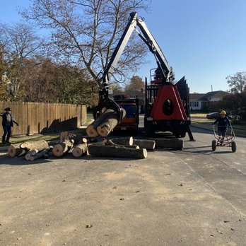 Top Line Tree Care - Tree Services Near Me - Wyandanch, New York Top Line Tree Care - Tree Services Near Me - Wyandanch, New York