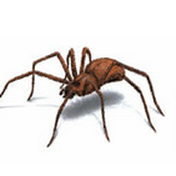 Rat Pack Pest Control - Pest Control Near Me - Reston, Virginia