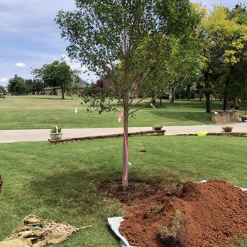 ABC tree service - Tree Services Near Me ABC tree service - Tree Services Near Me