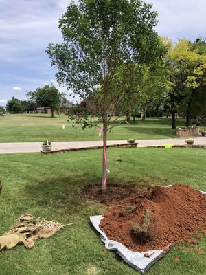 Commercial and residential Landscaping, Tree planting, And much more! Call today for your free consultation! - 10 years experience! Tree trimming,tree removal and more! I offer a wide variety of services. no job too big or too small. I offer day rates Customized for your needs. Satisfaction guaranteed!  Commercial and residential Landscaping, Tree planting, And much more! Call today for your free consultation! - 10 years experience! Tree trimming,tree removal and more! I offer a wide variety of services. no job too big or too small. I offer day rates Customized for your needs. Satisfaction guaranteed! 