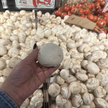 Nino Salvaggio International Marketplace - The most beautiful clean mushrooms I've ever seen. - Grocery Near Me - Troy, Michigan Nino Salvaggio International Marketplace - The most beautiful clean mushrooms I've ever seen. - Grocery Near Me - Troy, Michigan