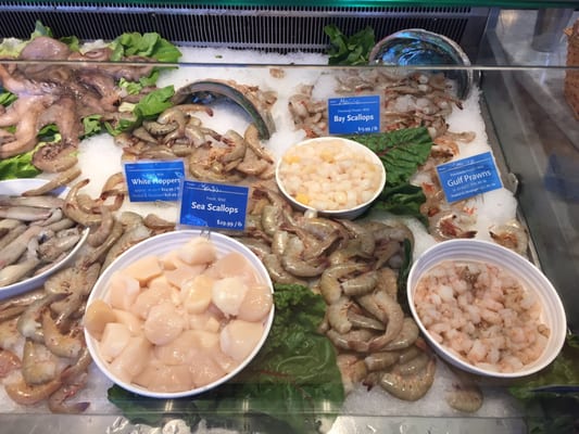 Hapuku Fish Shop by null