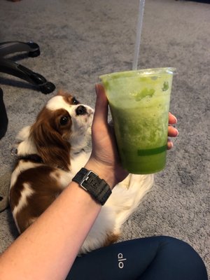 Sip Organic Juice Bar by null