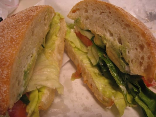 The Sentinel by null