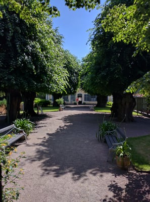 The Linnaeus Museum by null