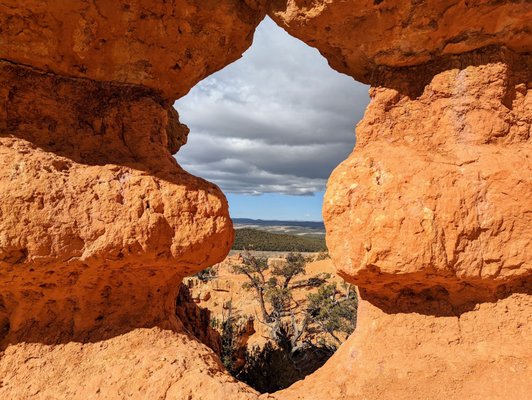 Dixie National Forest by null