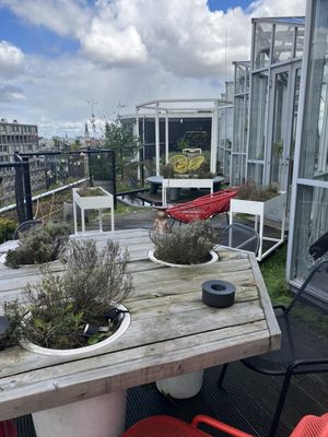 Zoku Amsterdam by null