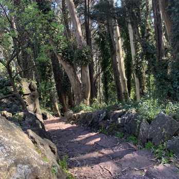 Mount Davidson Park - The trail that leads to the peak - Parks Near Me - San Francisco, California