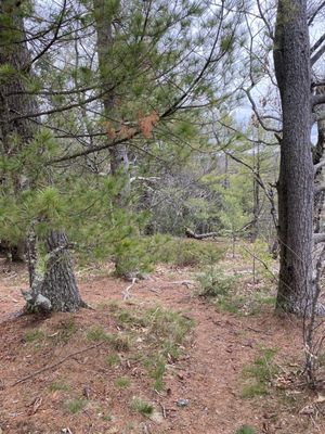 Bradbury Mountain State Park by null