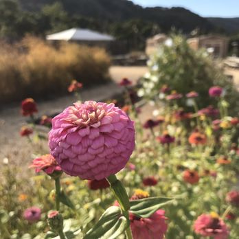Carmel Valley Ranch - Hotels Near Me - Carmel, California Carmel Valley Ranch - Hotels Near Me - Carmel, California