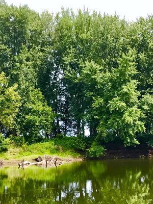 Ethan Allen Homestead Museum and Historic Site by null