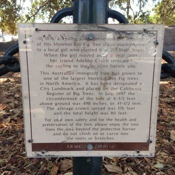 Moreton Bay Fig Tree Park - History Plaque - Parks Near Me - Santa Barbara, California Moreton Bay Fig Tree Park - History Plaque - Parks Near Me - Santa Barbara, California