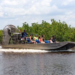 Jungle Erv's Airboat Tours