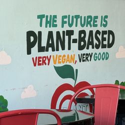 Plant Bae