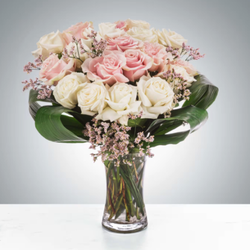 VLM Flowers