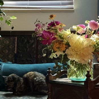 Down Home Flowers - Florists Near Me - Arvada, Colorado Down Home Flowers - Florists Near Me - Arvada, Colorado
